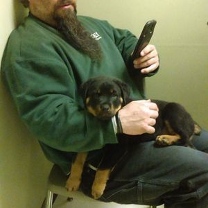 Meet your Posher, Mike